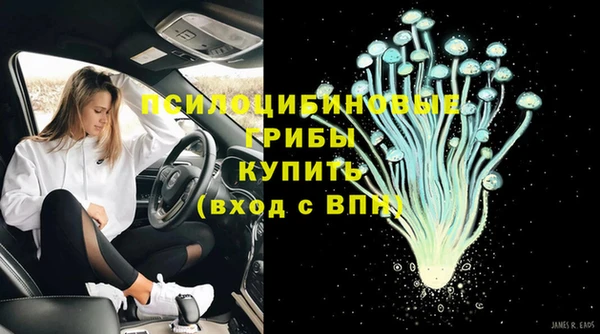 гашик Володарск