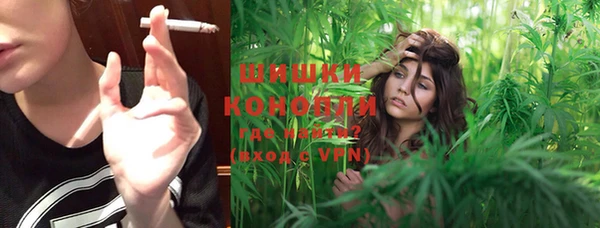 крисы Верхний Тагил