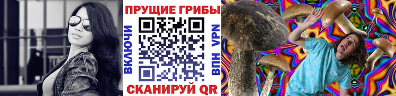 Галлюциногенные грибы Cubensis Инсар